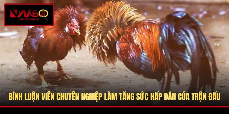 Bình luận viên chuyên nghiệp làm tăng sức hấp dẫn của trận đấu