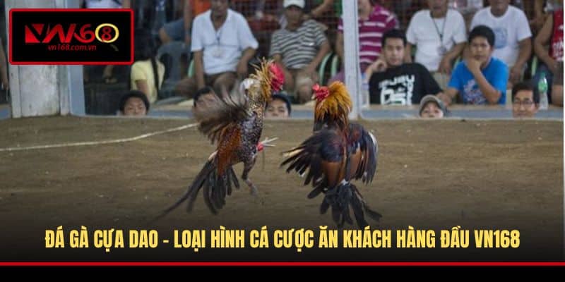 Đá Gà Cựa Dao