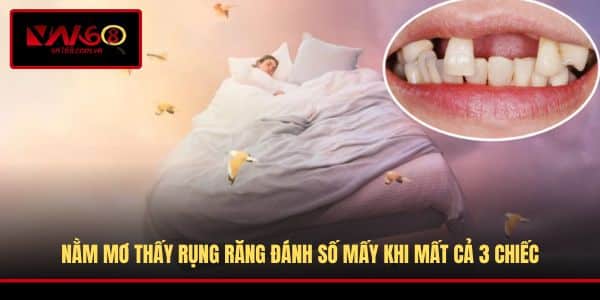 Nằm mơ thấy rụng răng đánh số mấy khi mất cả 3 chiếc