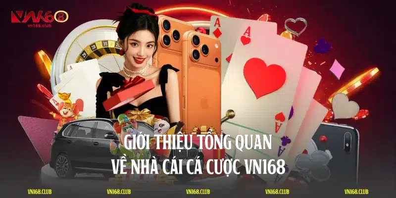 Giới thiệu tổng quan về nhà cái cá cược VN168